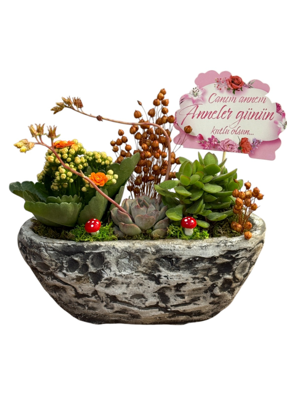 Doğal Taş Saksıda Turuncu Sukulent Bahçesi