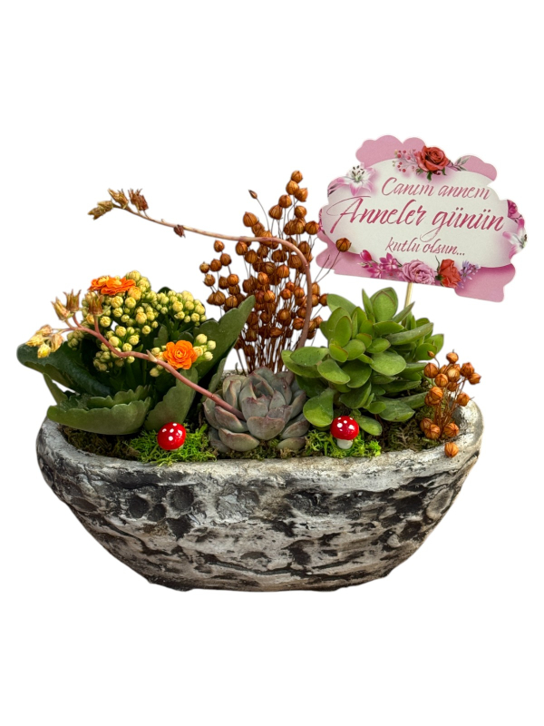 Doğal Taş Saksıda Turuncu Sukulent Bahçesi