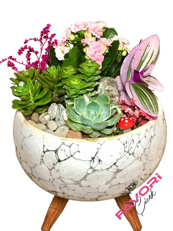 Beyaz Ayaklı Saksıda Minyatür Bahçe Teraryum