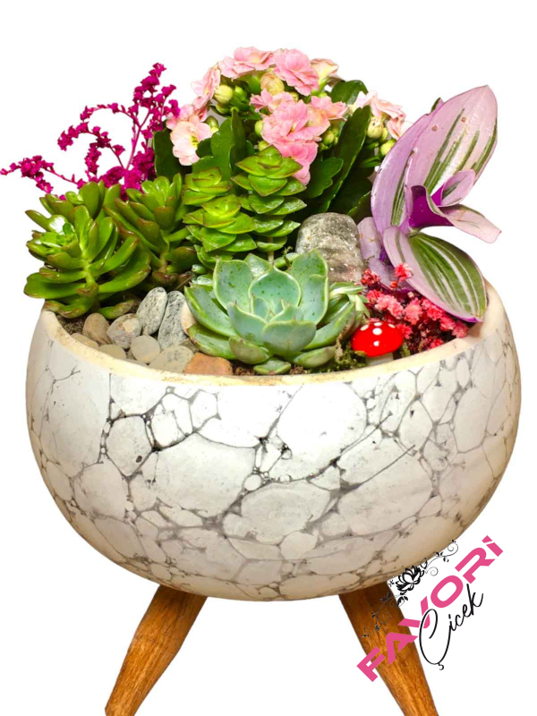 Beyaz Ayaklı Saksıda Minyatür Bahçe Teraryum