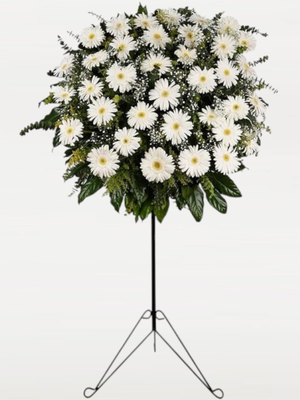 Beyaz Gerbera Ferforje Aranjmanı