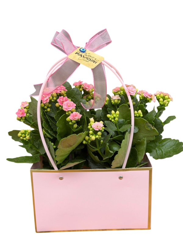 Çantada Çiçek – Pembe Kalanşo