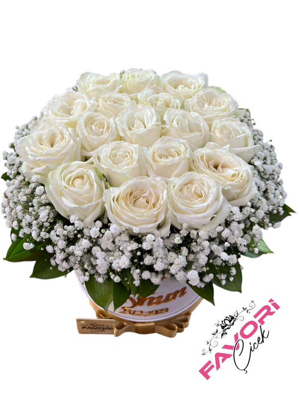 Kutuda Beyaz Güller