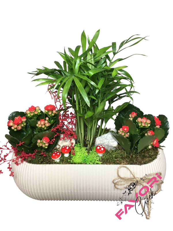 Minyatür Kalendiva Bahçesi Teraryum