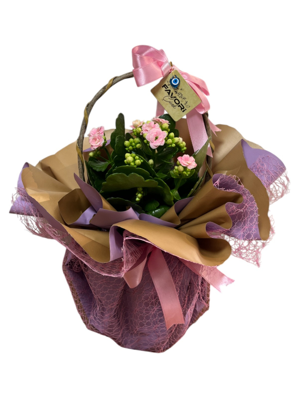 Pembe Kalanchoe Çiçeği