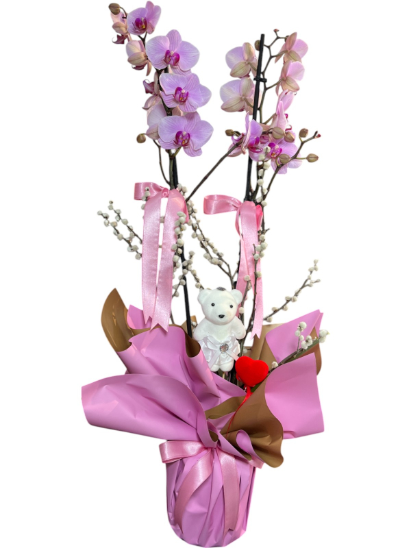 Sevdiklerinize Özel Pembe Orkide ve Ayıcık