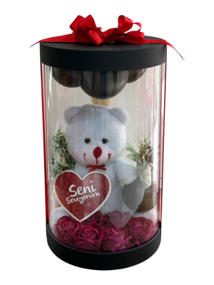 Asetatlı Şeffaf Silindir Kutuda Beyaz Ayıcık