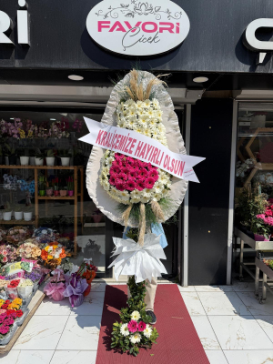 Beyaz ve Pembe Açılış Çiçeği