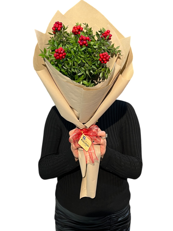 Yılbaşı Çiçeği Kokina