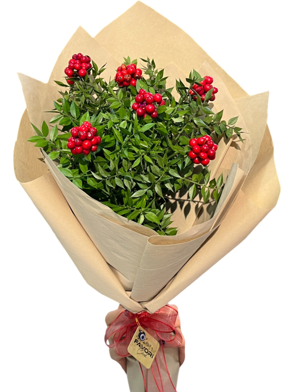 Yılbaşı Çiçeği Kokina